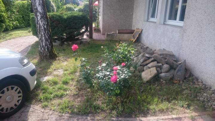 Projet création végétale