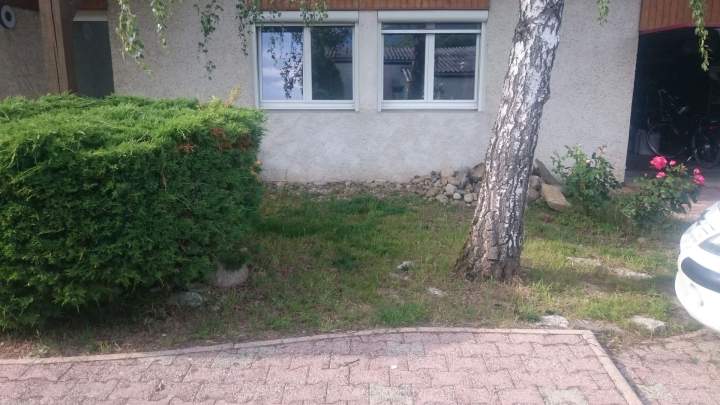 Projet création végétale