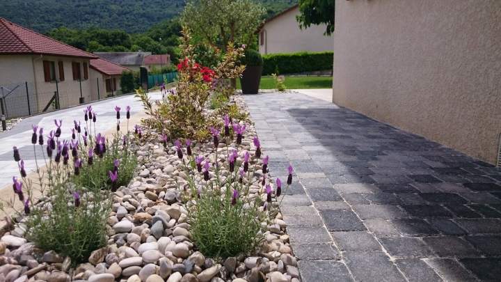 Pavage et végétale