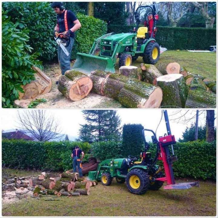 travaux d'élagage meylan